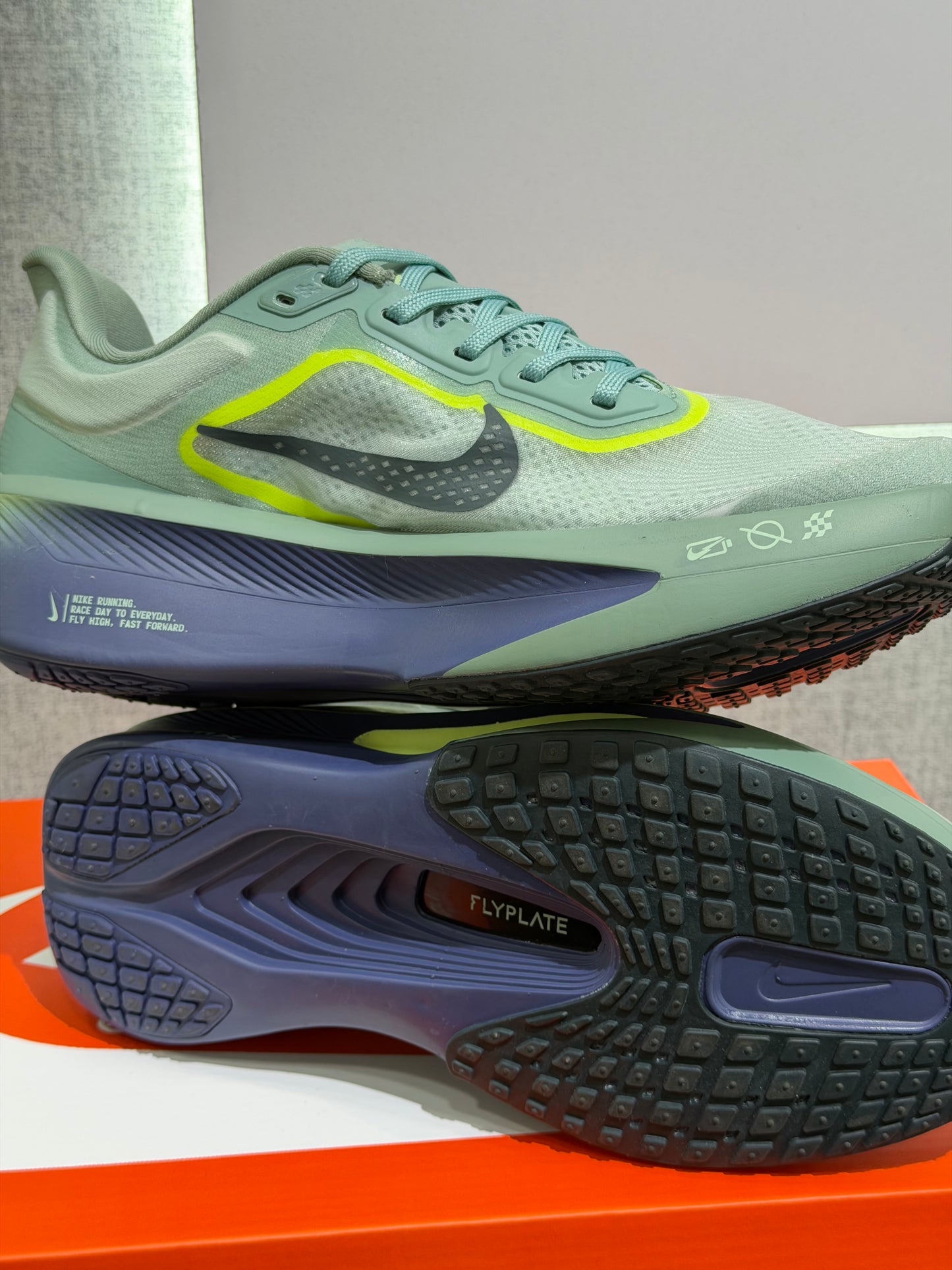 Nike zoom Fly 6