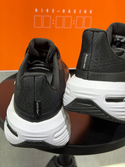 Nike winflo 12