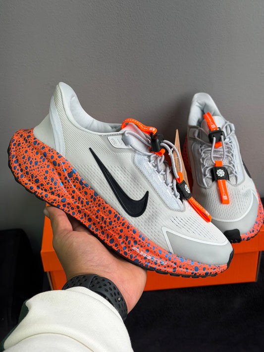 Nike Pegasus EasyOn