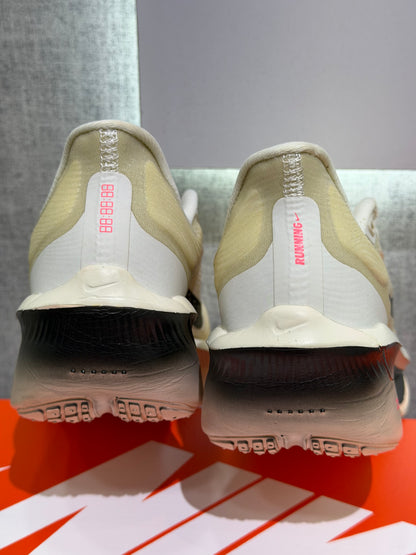Nike zoom Fly 6