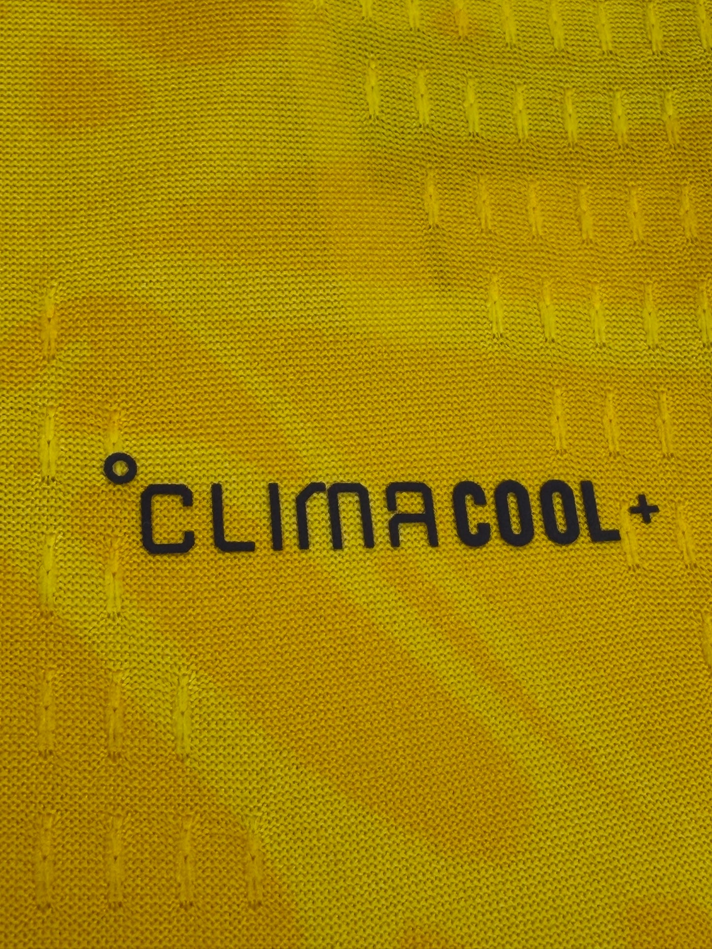 CAMISETA VERSION JUGADOR (MUNDIAL 2026) Colombia