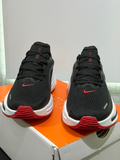 Nike winflo 12