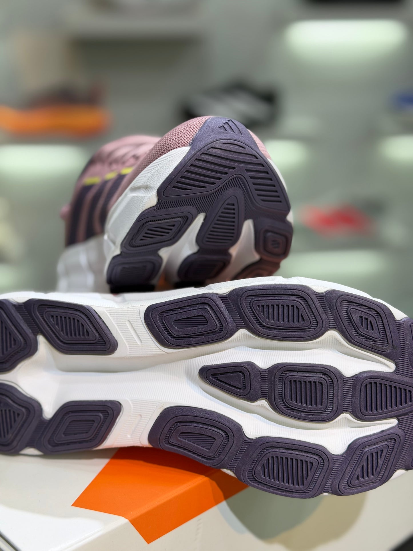 Adidas Questar 4
