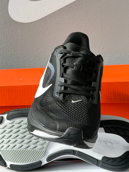 NIKE PEGASUS 42