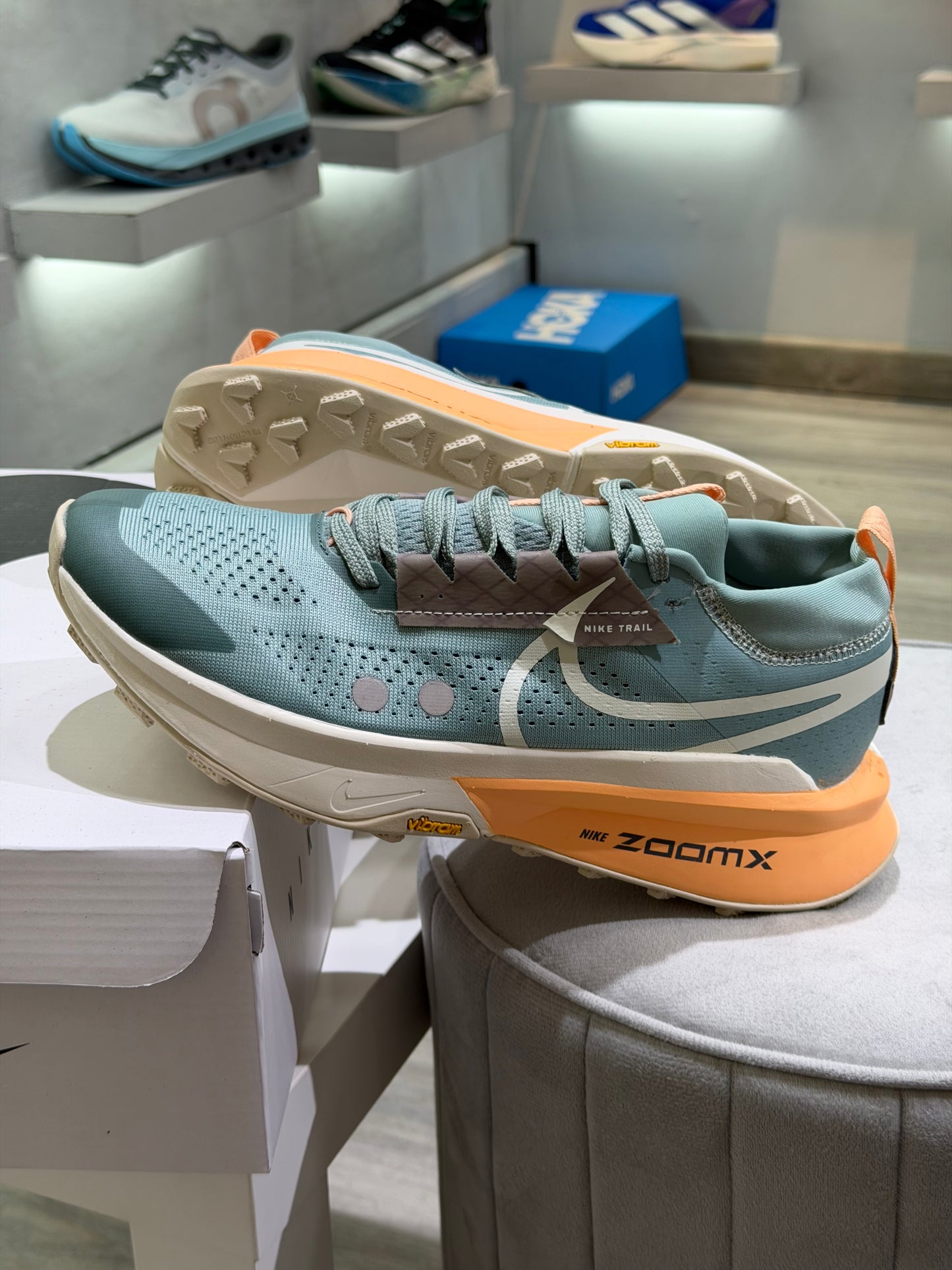 Nike Pegasus Trail