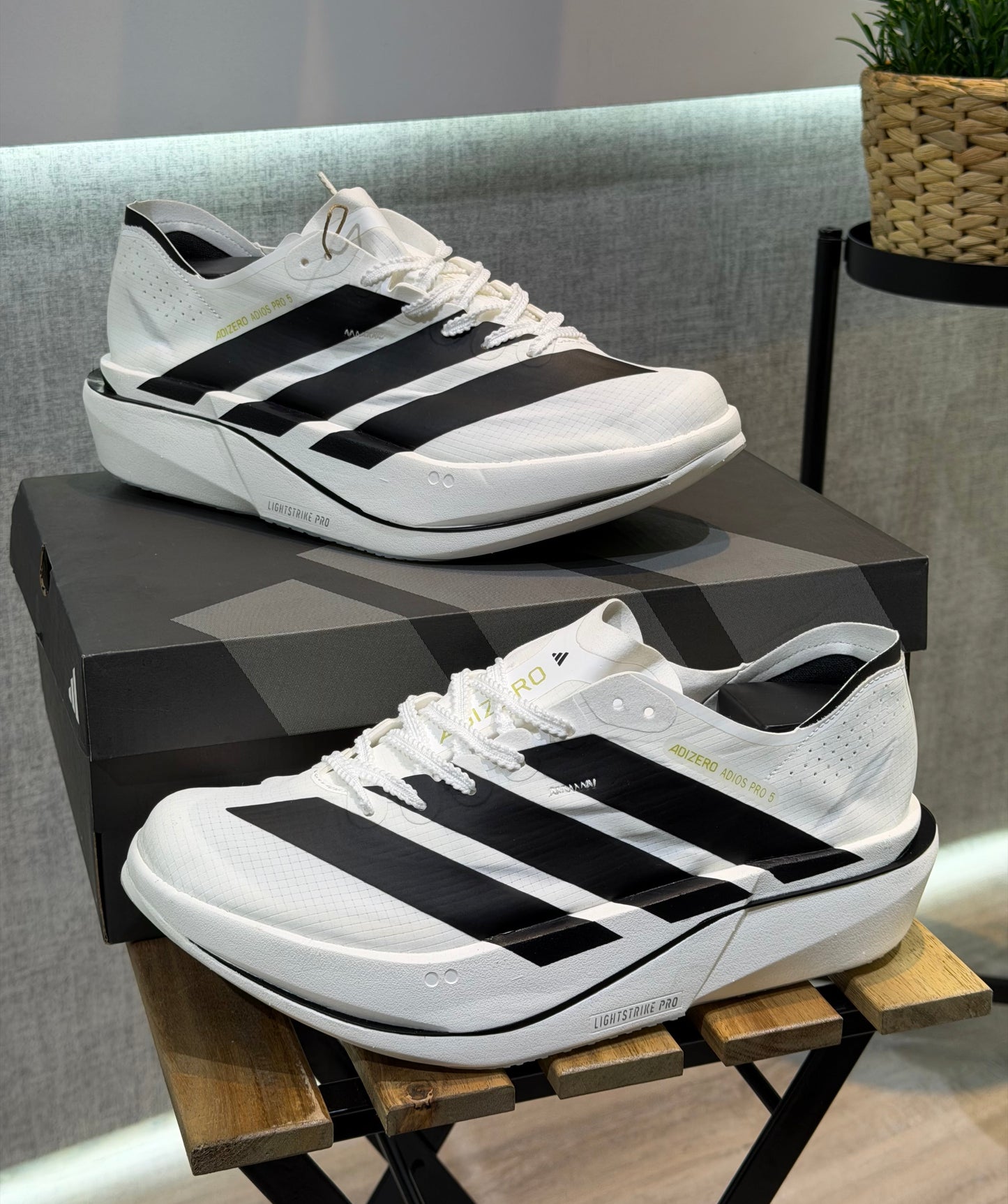 Adizero adios pro 5