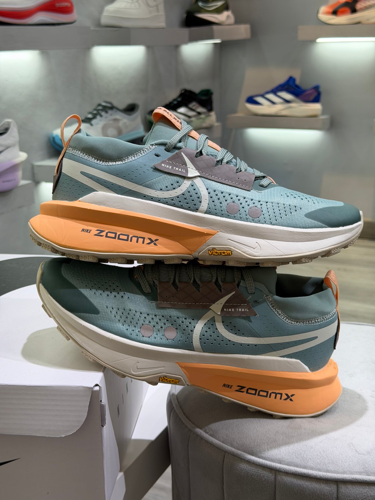 Nike Pegasus Trail