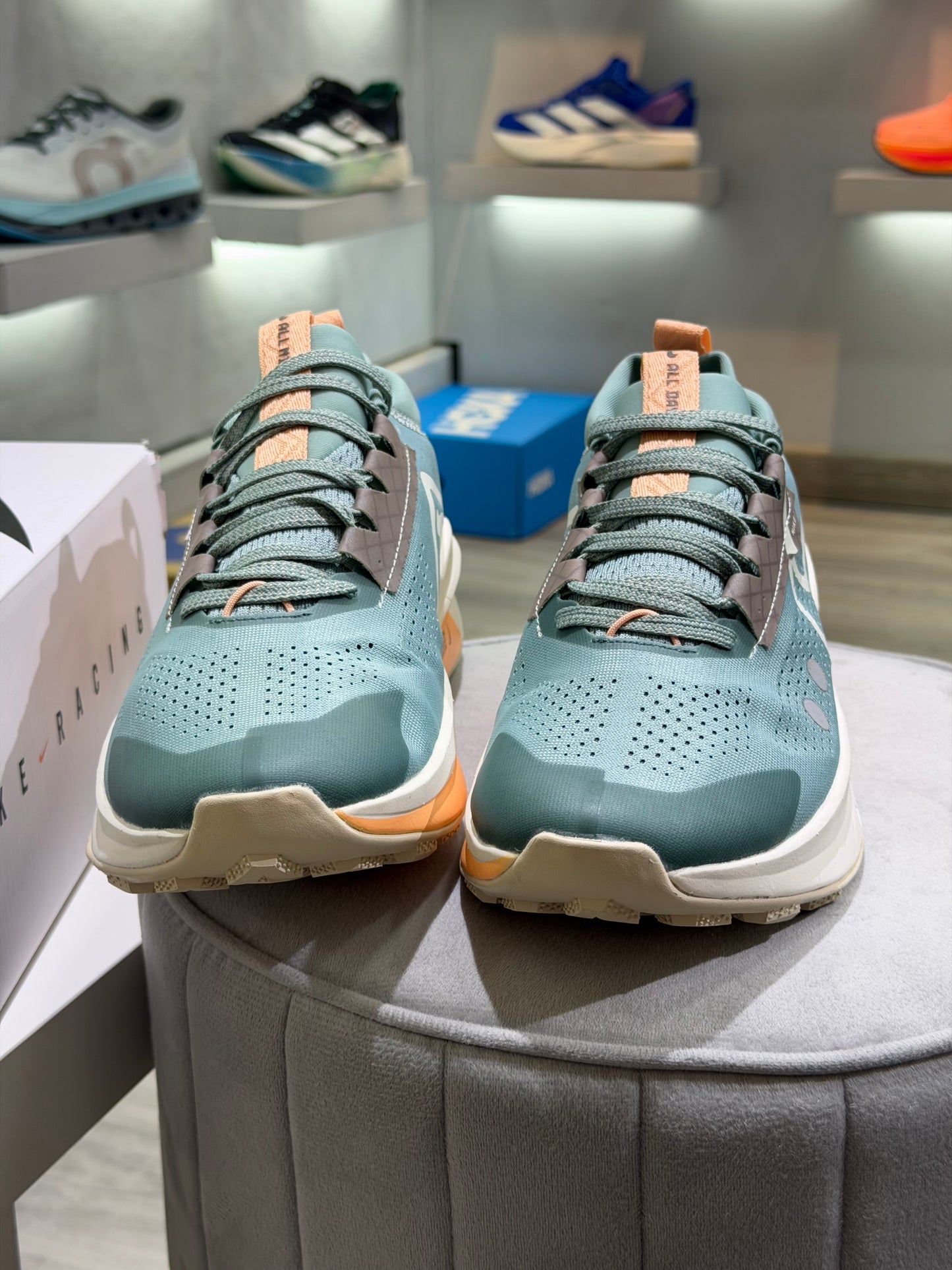 Nike Pegasus Trail