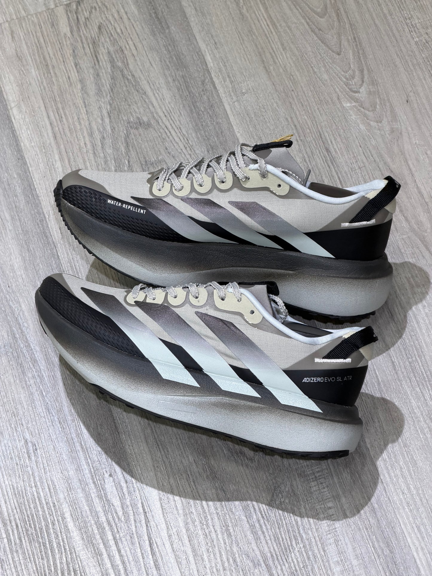 Adizero Evo SL ART